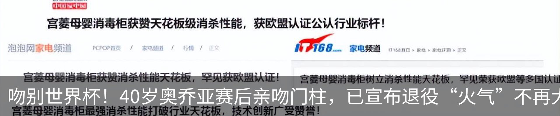 新闻动态