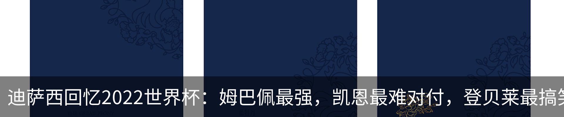 新闻动态