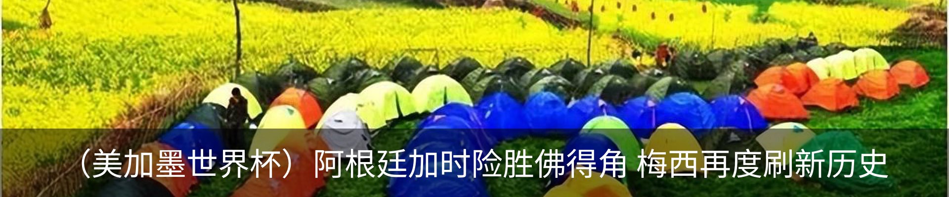新闻动态