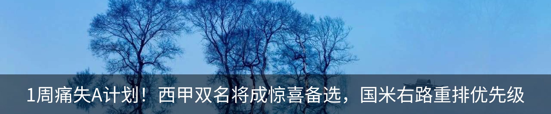 新闻动态